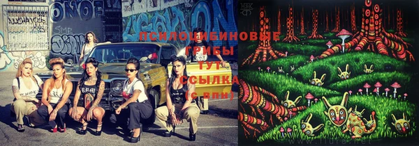 бутират Каменка