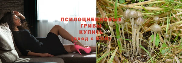jwh Каменногорск