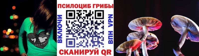 Купить где  Спасск  Псилоцибиновые грибы Psilocybine cubensis 